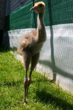 Yellow Blue Black - 12th June 2014 Yellow Blue Black - 12th June 2014